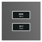 Vision Two-button Switch Panel - Gray