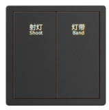 A6 Two-button Switch Panel - Gray