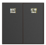 A6PRO Two-button Switch Panel - Gray